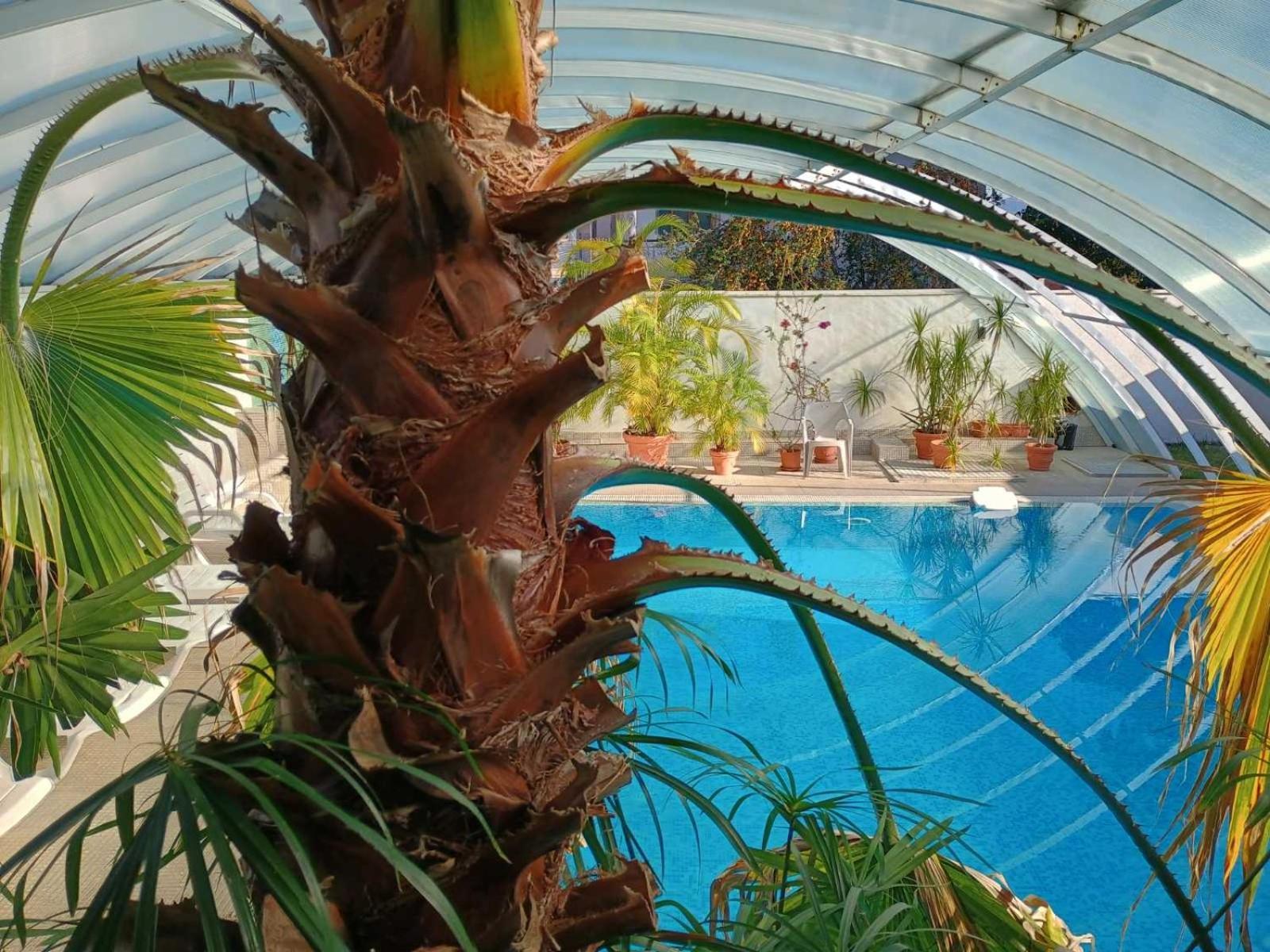 Enis Hotel С Минерален Басейн Szapareva Banja Kültér fotó